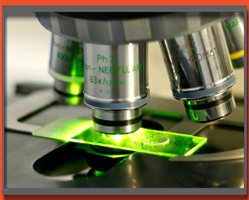 Slider image (6) Medanta | The Medicity